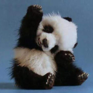 Meet your Posher, Ogamer101